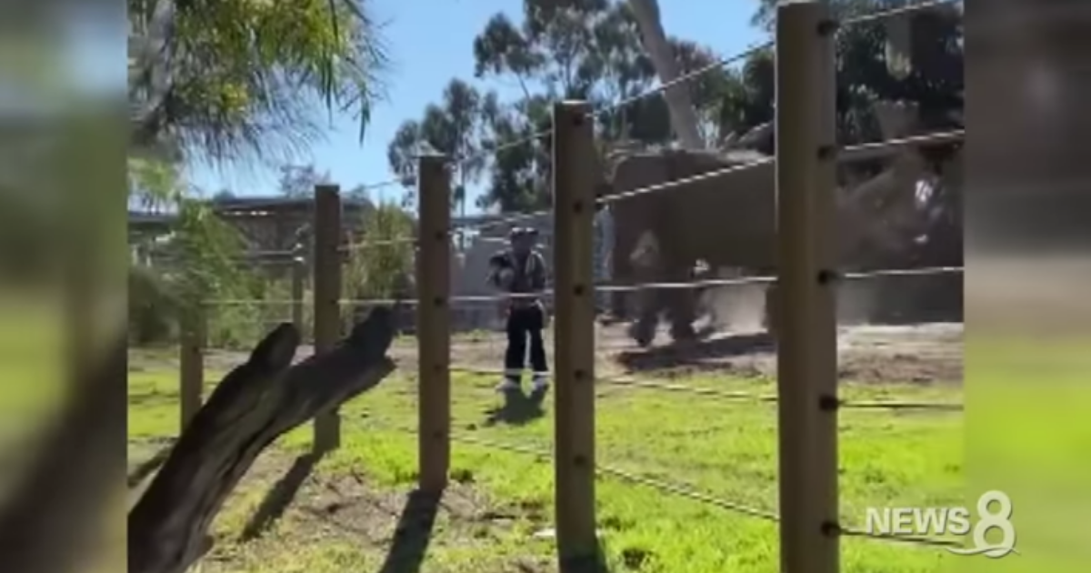 Dad Arrested For Endangering His Toddler By Hopping Fence Into Zoo's Elephant Enclosure For A Selfie