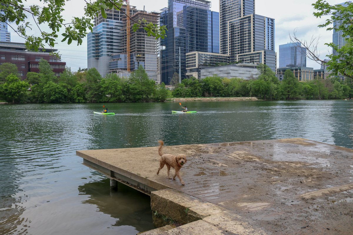 'Increased risk' for dog-killing algae expands to Lady Bird Lake and Lake Austin