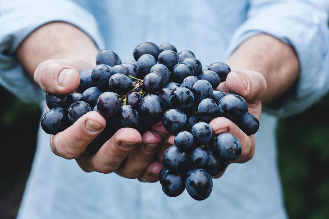 Image of person holding grapes.