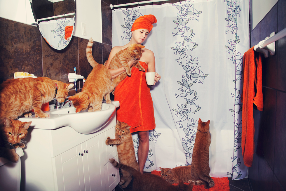 At Home With Crazy Cat Lovers and Their Crazy Cats