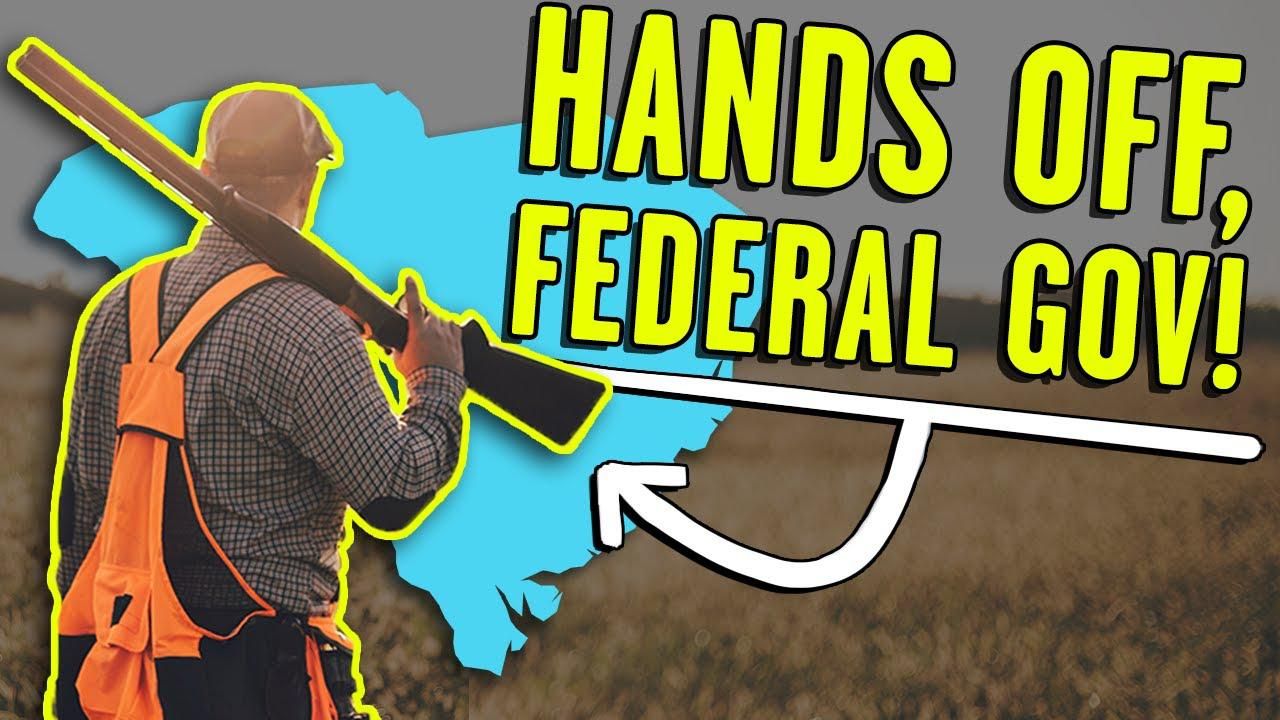 This genius bill GUARANTEES federal gov. can’t infringe on 2nd Amendment rights