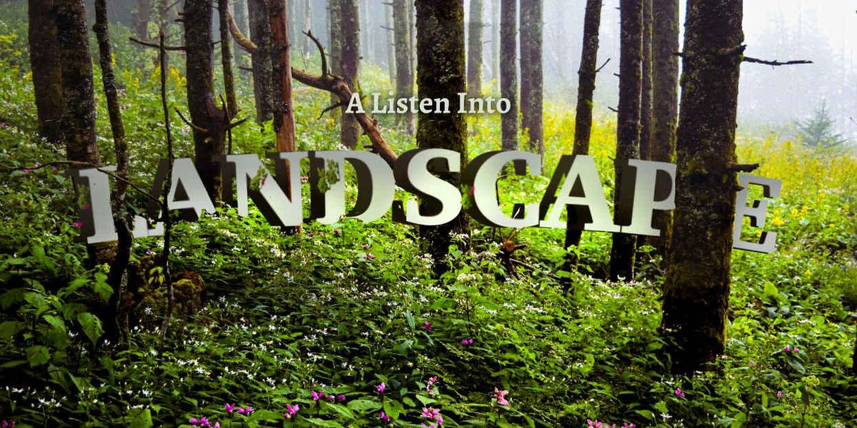 Listen into Landscape