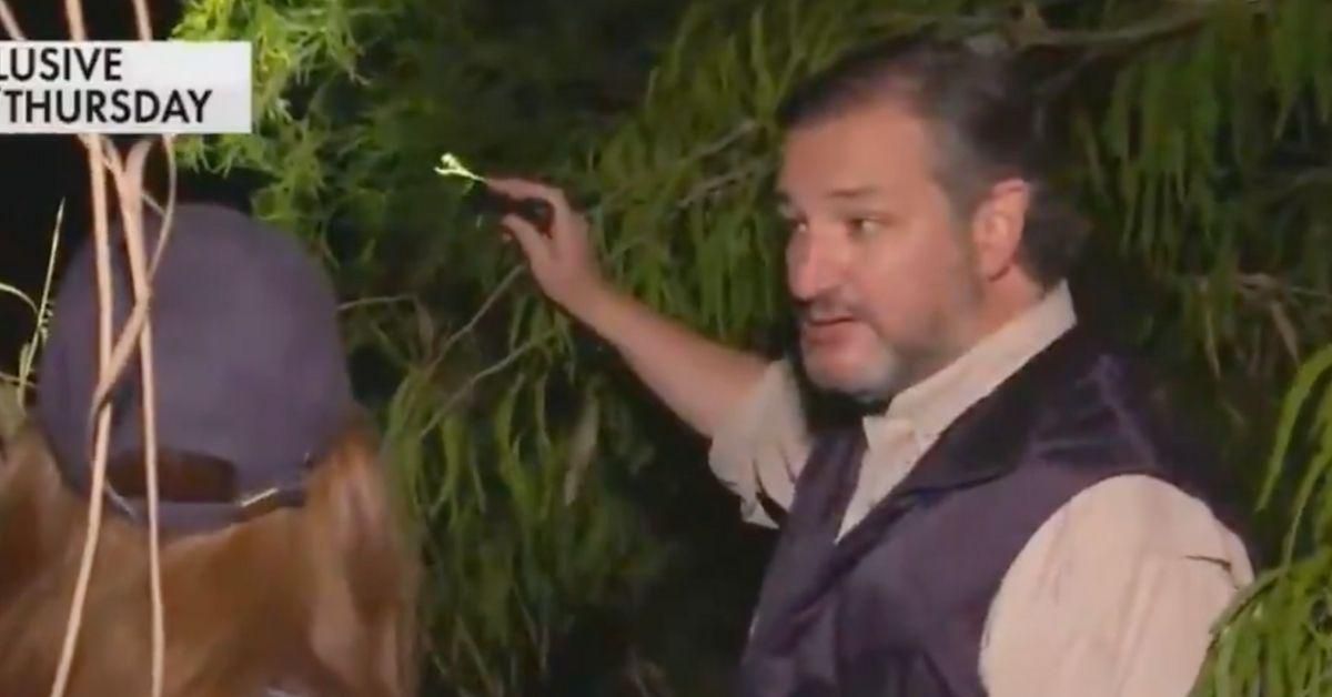 Ted Cruz Whines That Smugglers 'Taunted' Him At The Border—And Twitter Hilariously Pounced