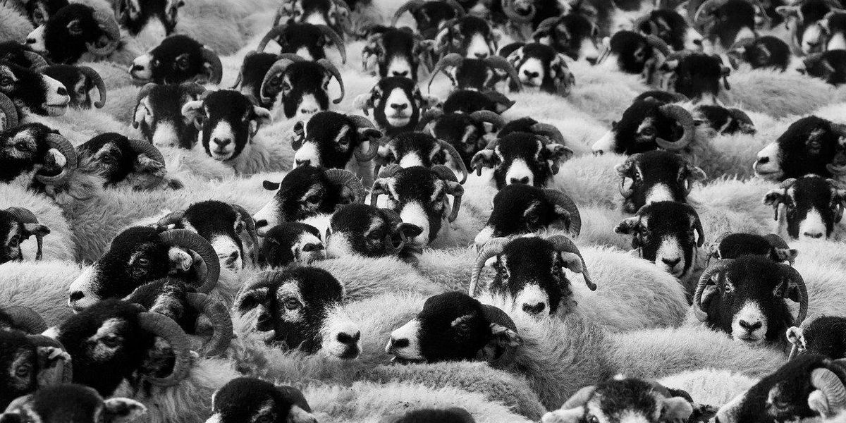 People Expose Modern-Day Cults That Fly Under The Radar