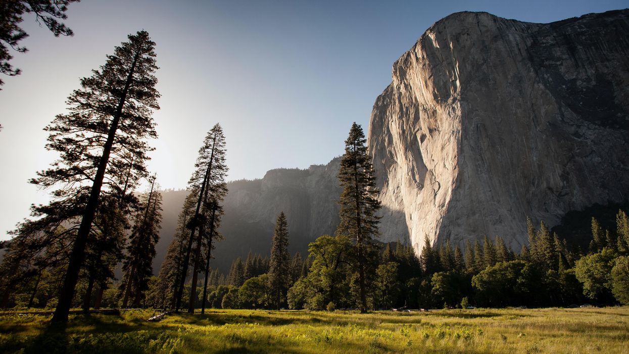 Yosemite National Park