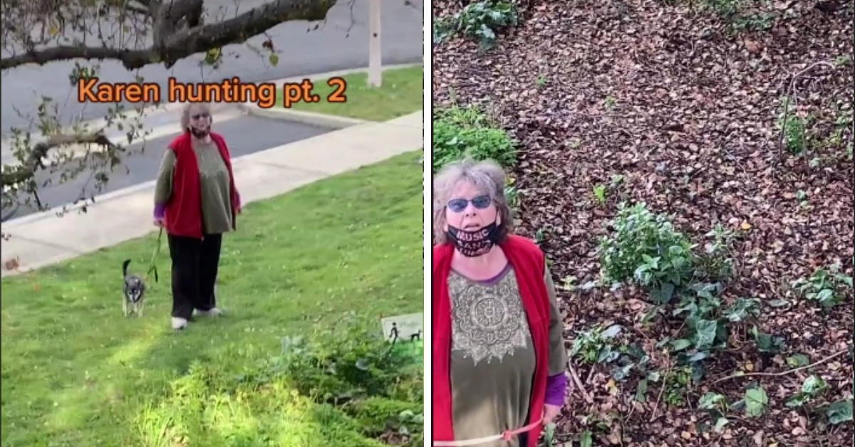 Tree-Climbing Kid Sends 'Karen' Into A Rage With His Measured Response To Her Tantrum