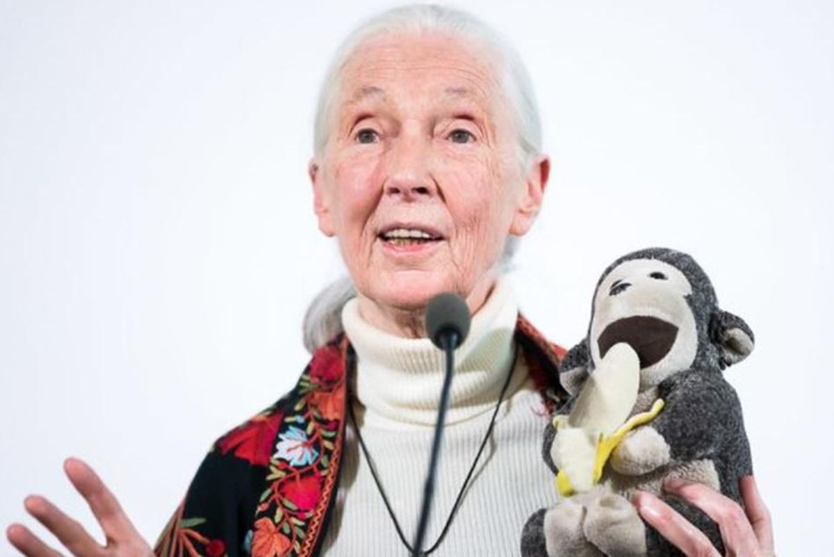 Jane Goodall shares her secrets on how to lead a full life