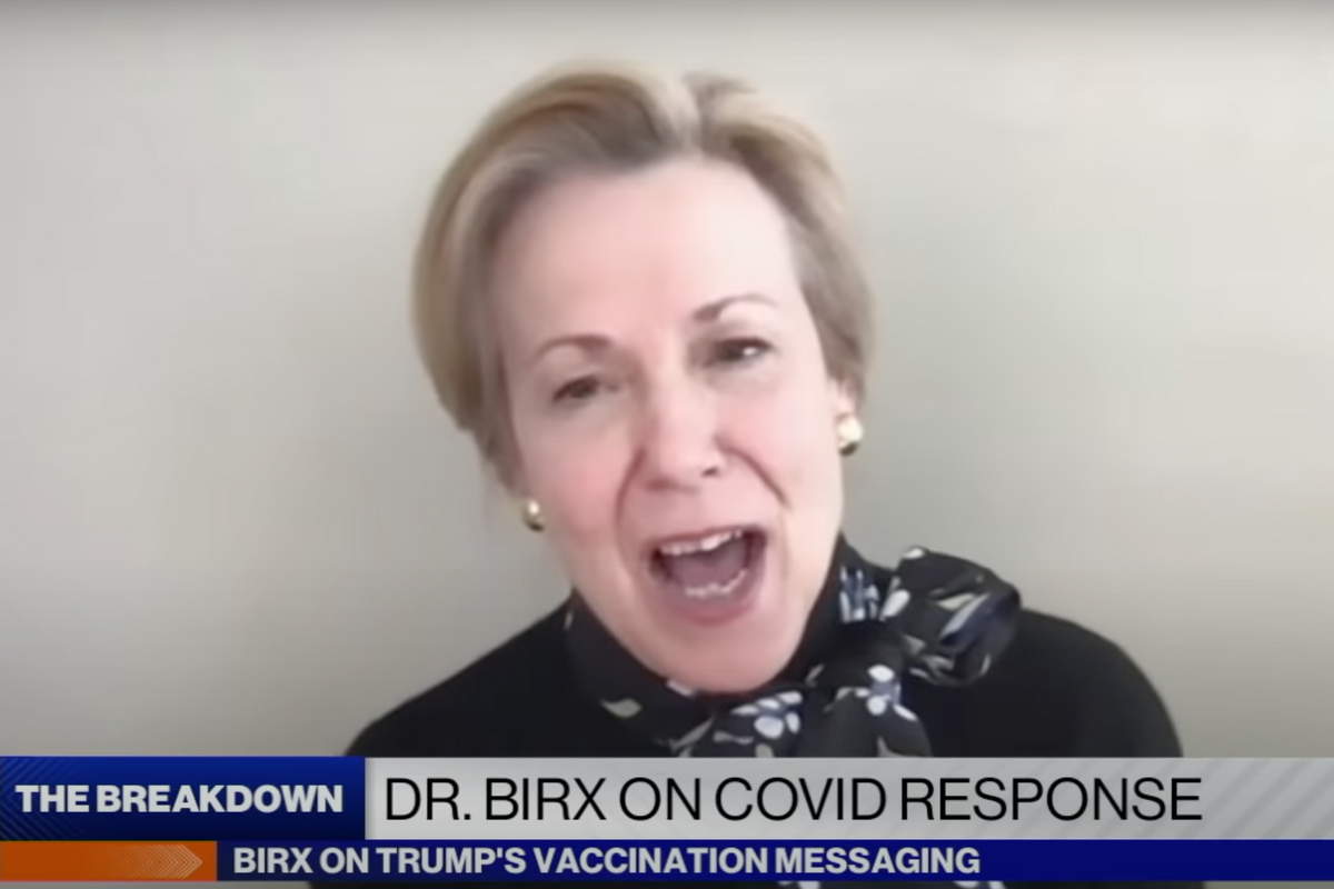 Dr. Birx Accepts That You’ll Never Stop Reminding Her About The Goddamn Bleach