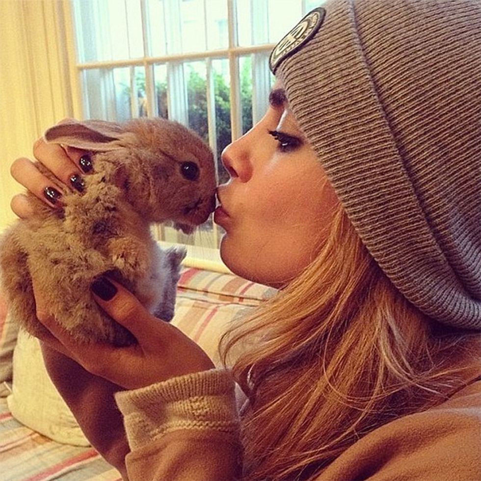 9 Celebrity Pet Social Media Accounts to Follow