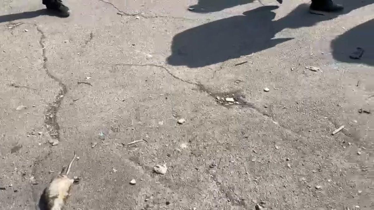 Dalle casse di Roma escono 4 milioni per i rom ma resta ancora l'emergenza abitativa