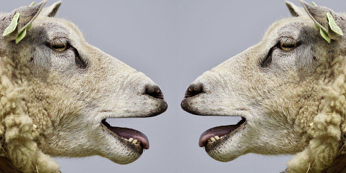 People Share The Nicest Ways To Tell A Talkative Person To Shut Up