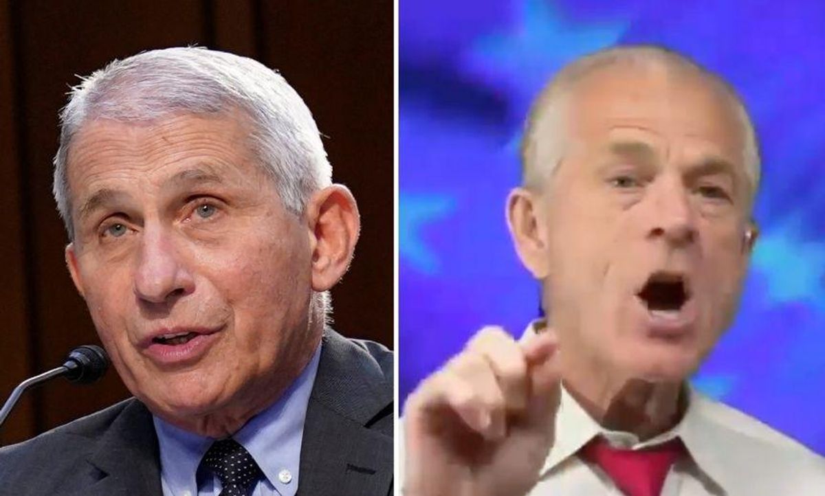 Former Trump Official Calls Dr. Fauci the ‘Father of the Virus’ in Unhinged Fox News Rant