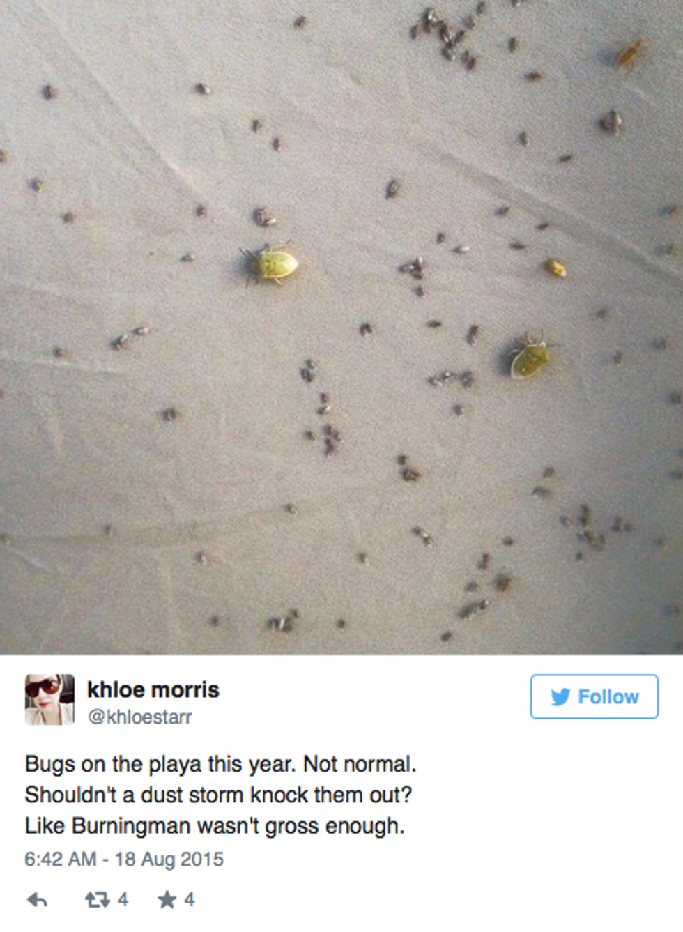 Here's Your Daily Dose of Schadenfreude: Burning Man Is Infested With Horrible Bugs