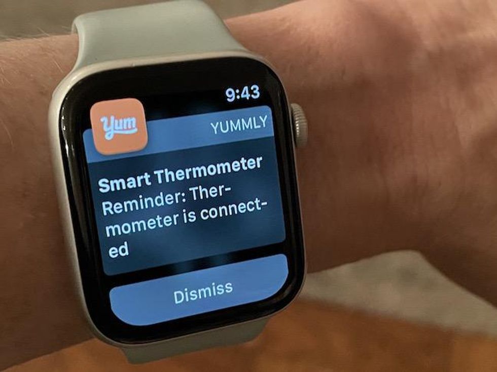 Yummly materializes in smart thermometer form - CNET
