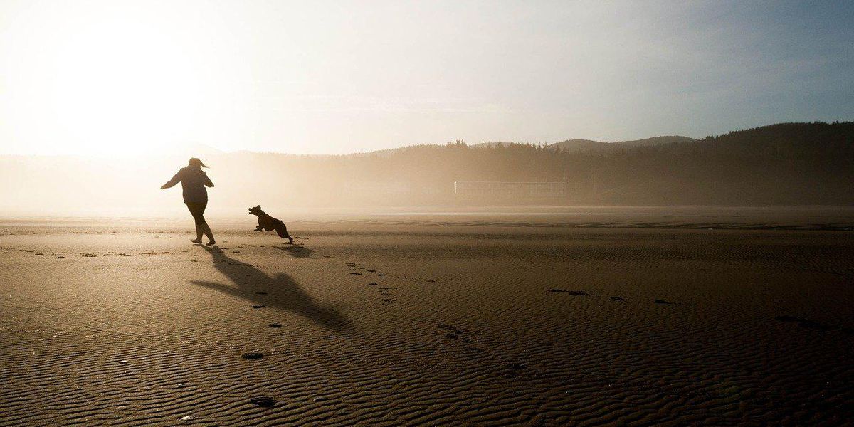 People Who Were Forced To Choose Their Pet Over Their Partner Break Down How It All Went Down