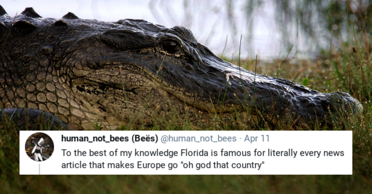 British Twitter User Hilariously Attempts To List What He Thinks Each U.S. State Is Famous For