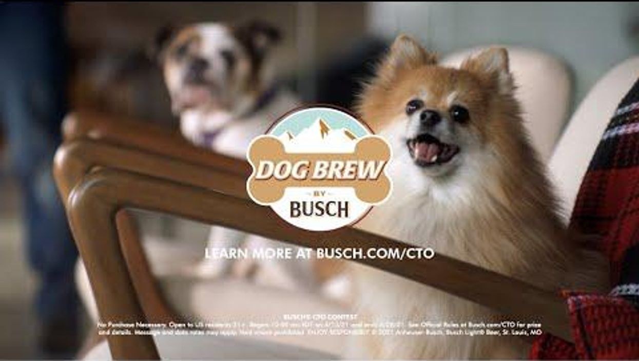 Busch is hiring a dog to test its new bone brew, and the job comes with a $20,000 paycheck
