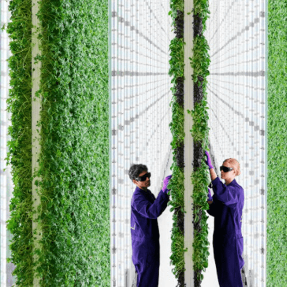 Check out this futuristic, organic vertical farm being built in