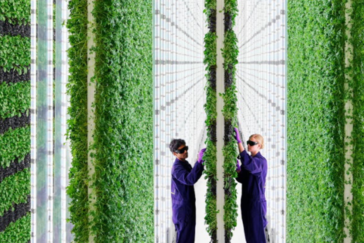 Check out this futuristic, organic vertical farm being built in Compton, California