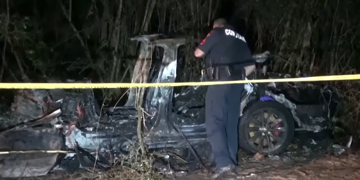 Two dead after driverless Tesla slammed into tree and burst into flames, police say