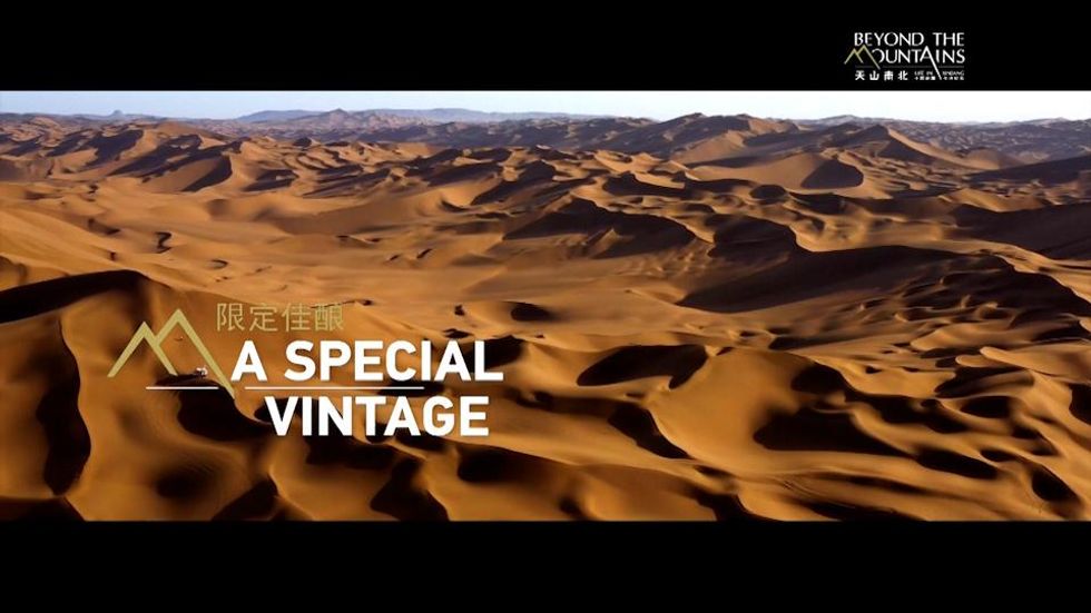 Il documentario di Cctv dallo Xinjiang - Un'annata speciale per il vino