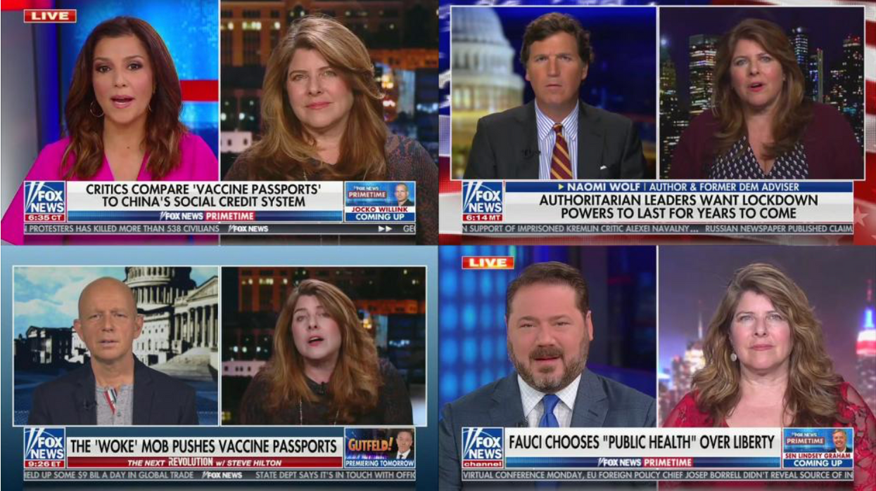 Naomi Wolf on Fox News 