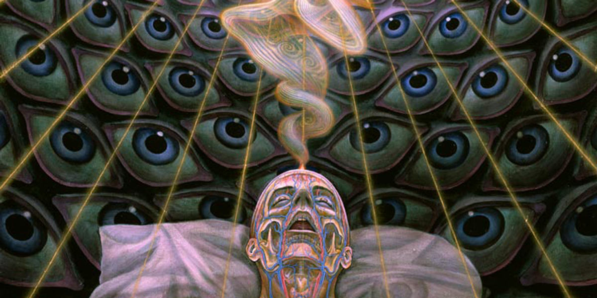 The Science Behind Infinite Consciousness – We Never Truly Die - Higher ...