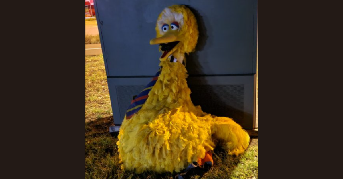 Thieves Who Stole $123k Big Bird Costume From Circus Return It With Hilarious Apology Note