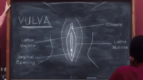 What Science Says About A So-Called "Loose Vagina"