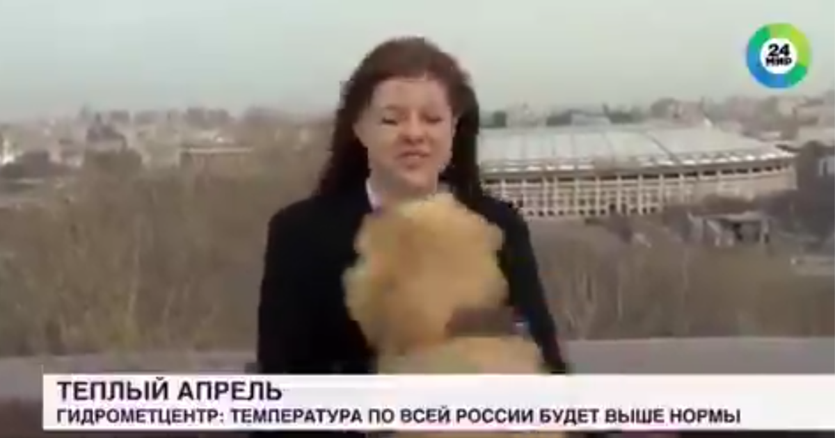Reporter Forced To Give Chase After Dog Jumps Up And Steals Her Mic While She's Live On Air