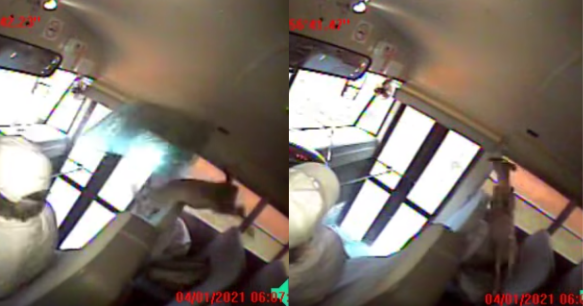 Deer Crashes Through School Bus Window And Lands On Sleeping Student In Wild Video