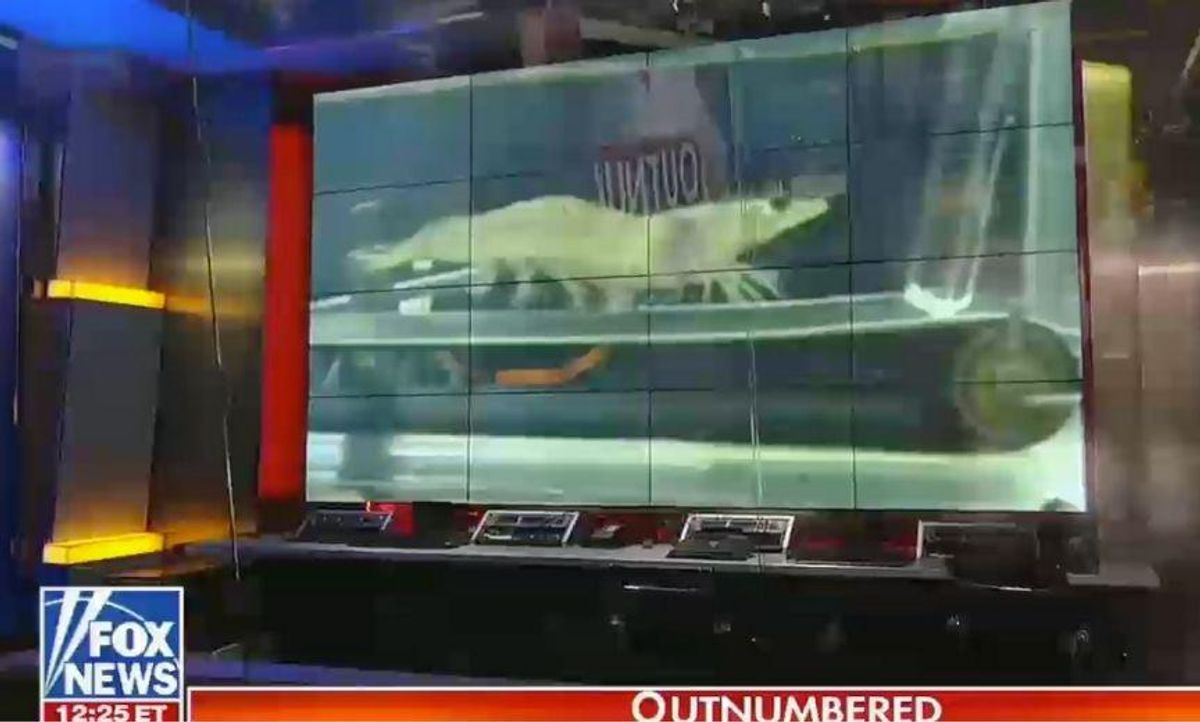 Twitter Brutally Mocks Fox News After It Trots out ‘Treadmill Shrimp’ Story to Slam Government Spending