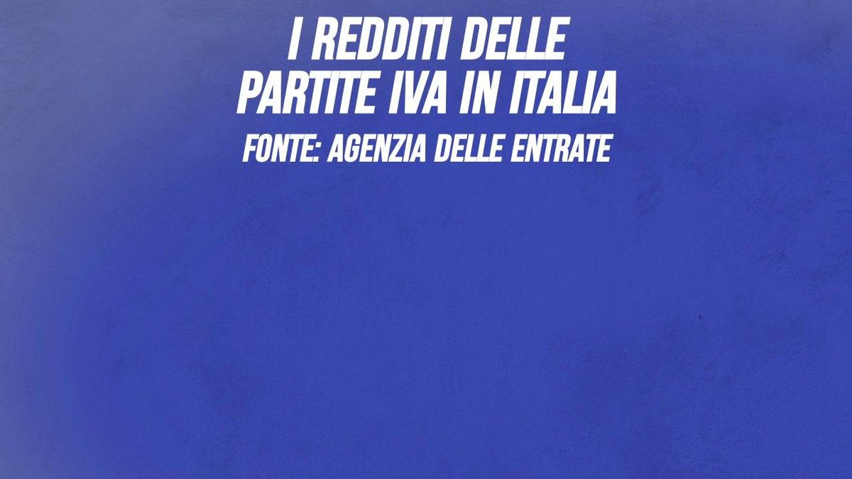 I redditi delle partite Iva