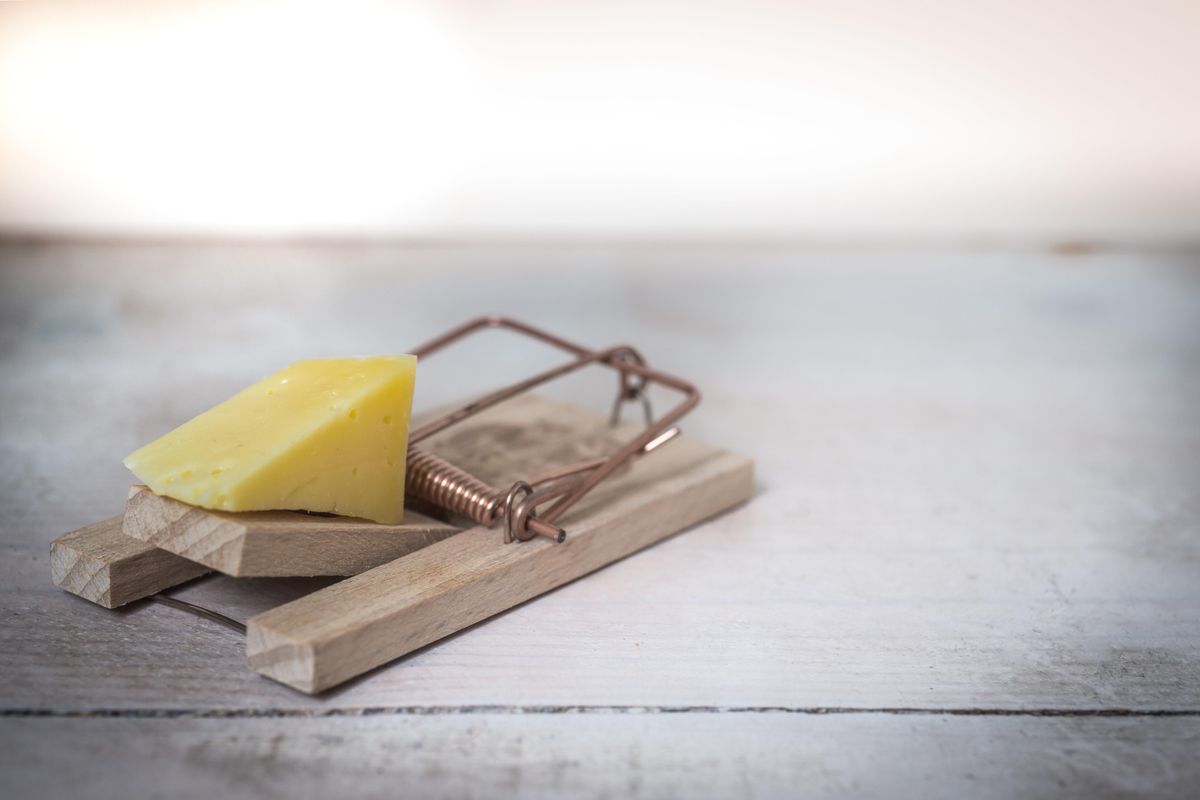 No, Human Traffickers Are Not Using Cheese To Kidnap People