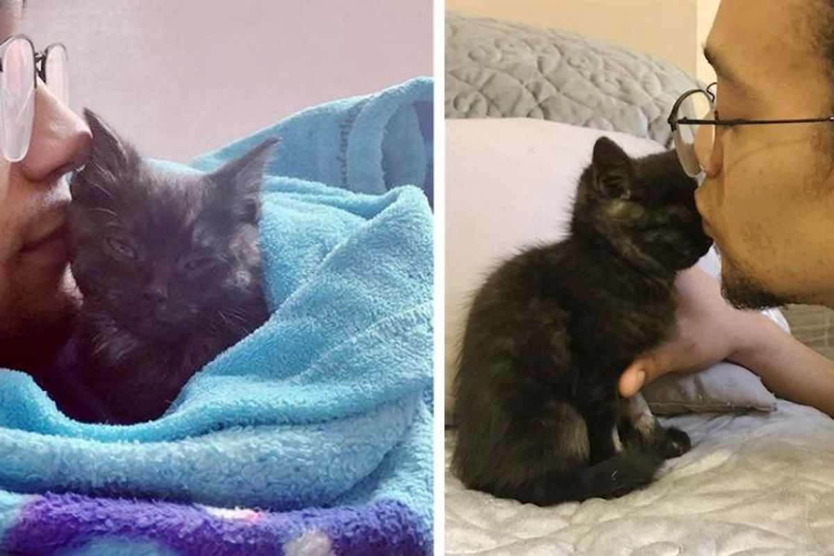 Kitten Turned the Corner with Help of Kind Couple and Became the Sweetest Cat with So Much to Give