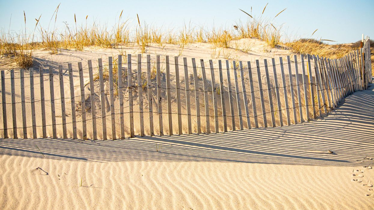 Sand dunes in the Hamptons