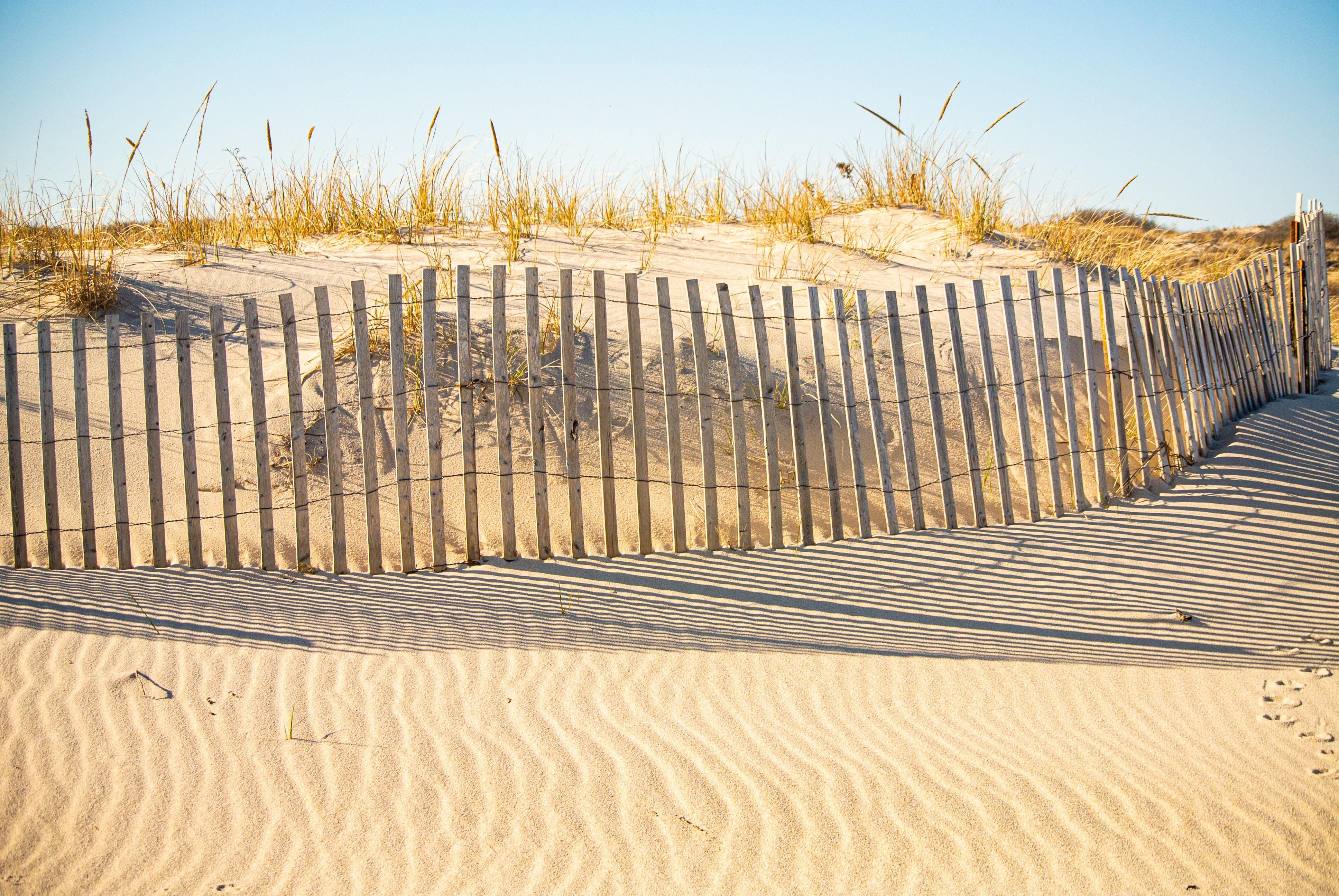Sand dunes in the Hamptons