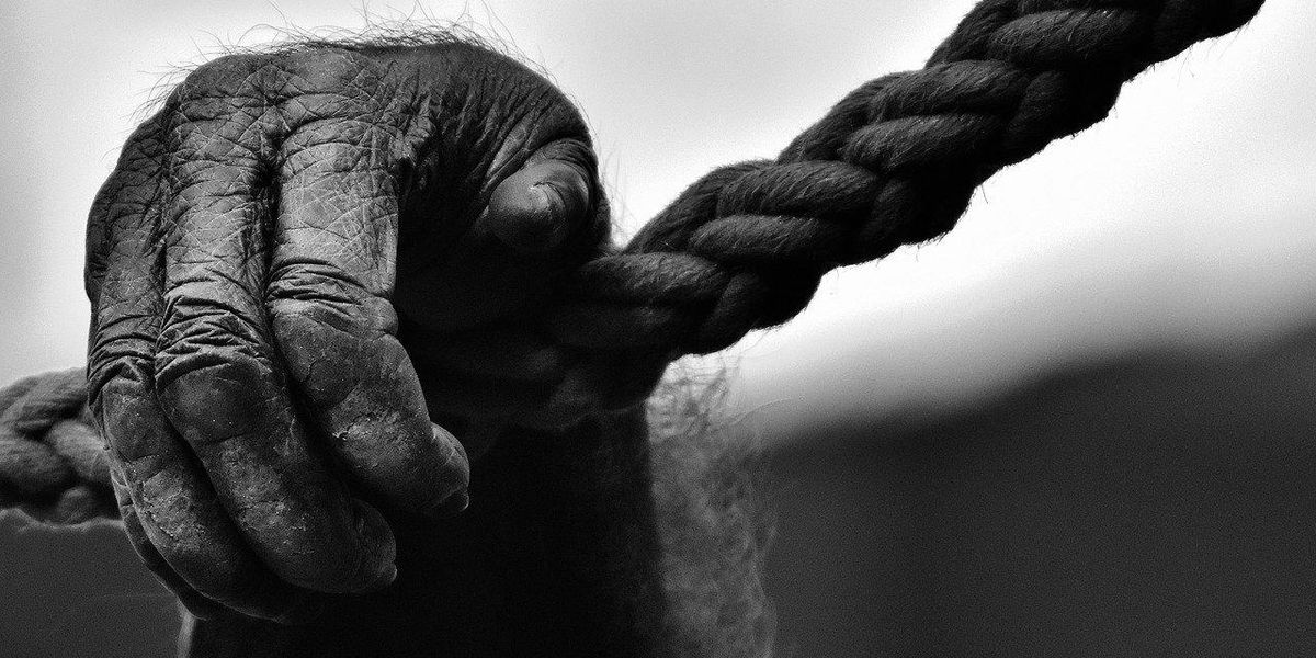 Zookeepers Share The Deepest Darkest Secrets About Zoos