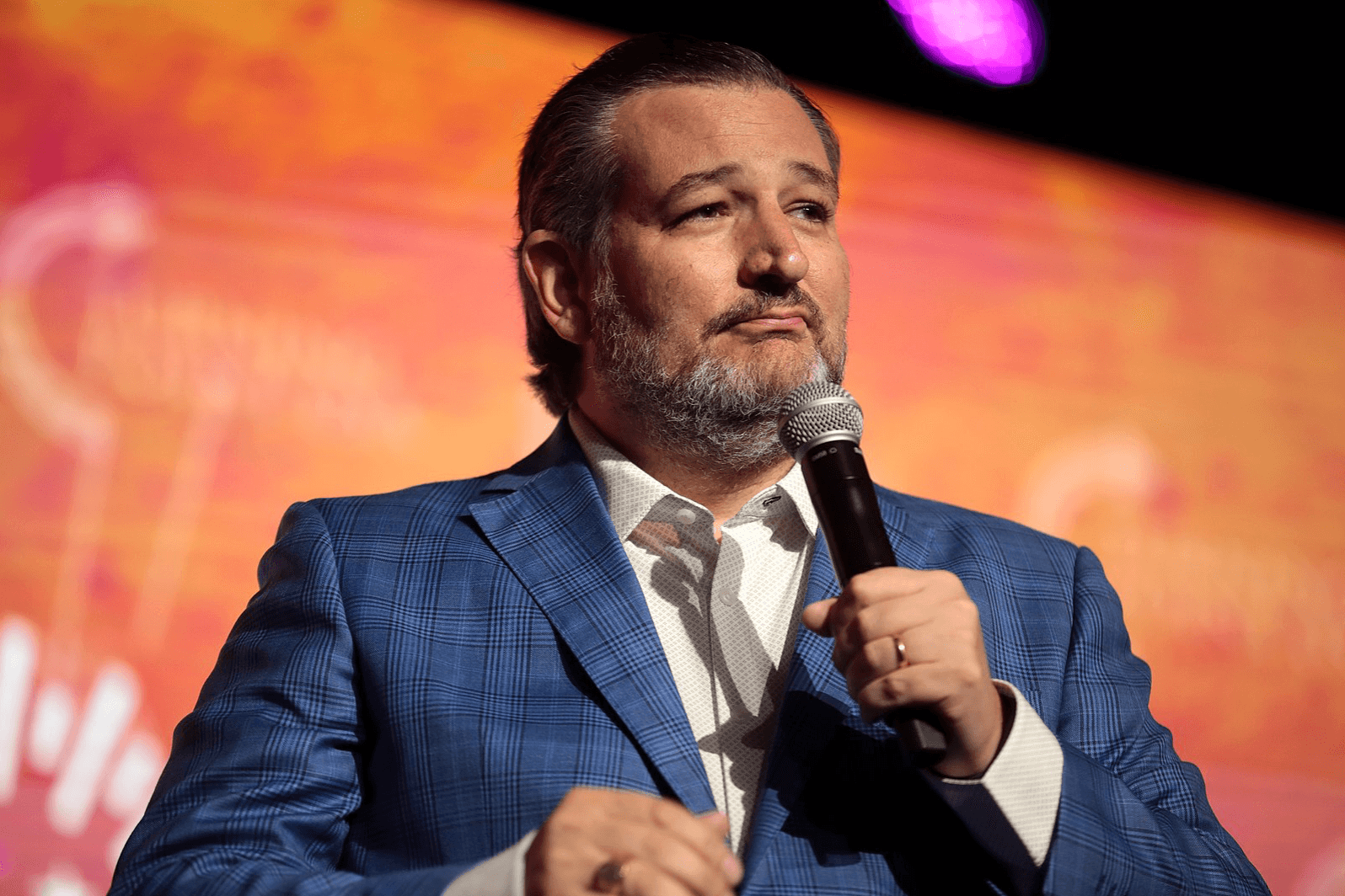 Sen. Ted Cruz 