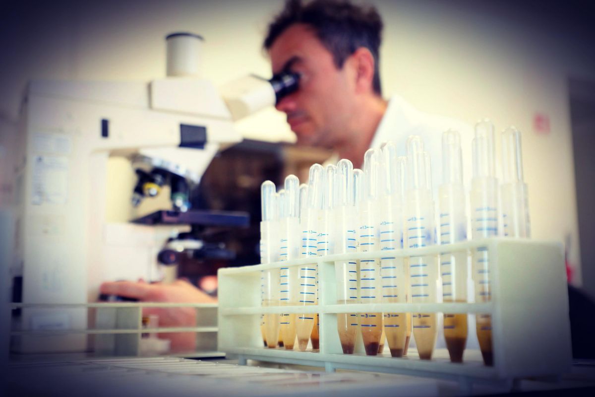 A biciclette e banchi destinati 533 milioni, alla ricerca solo 10. E un bando si è perso