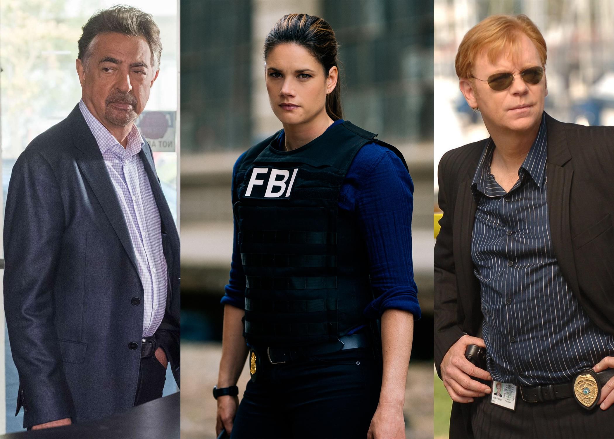 Joe Mantegna Missy Peregrym David Caruso