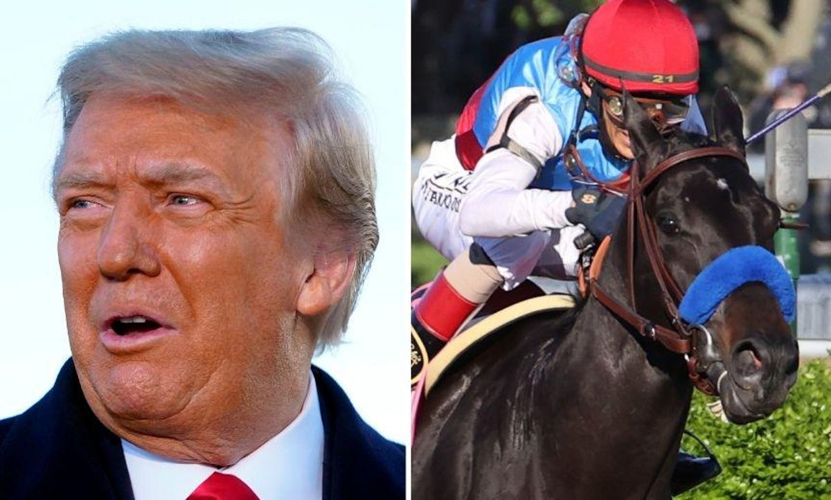 Trump Dragged for Bizarre Message Railing Against Kentucky Derby Winner as 'a Junky'