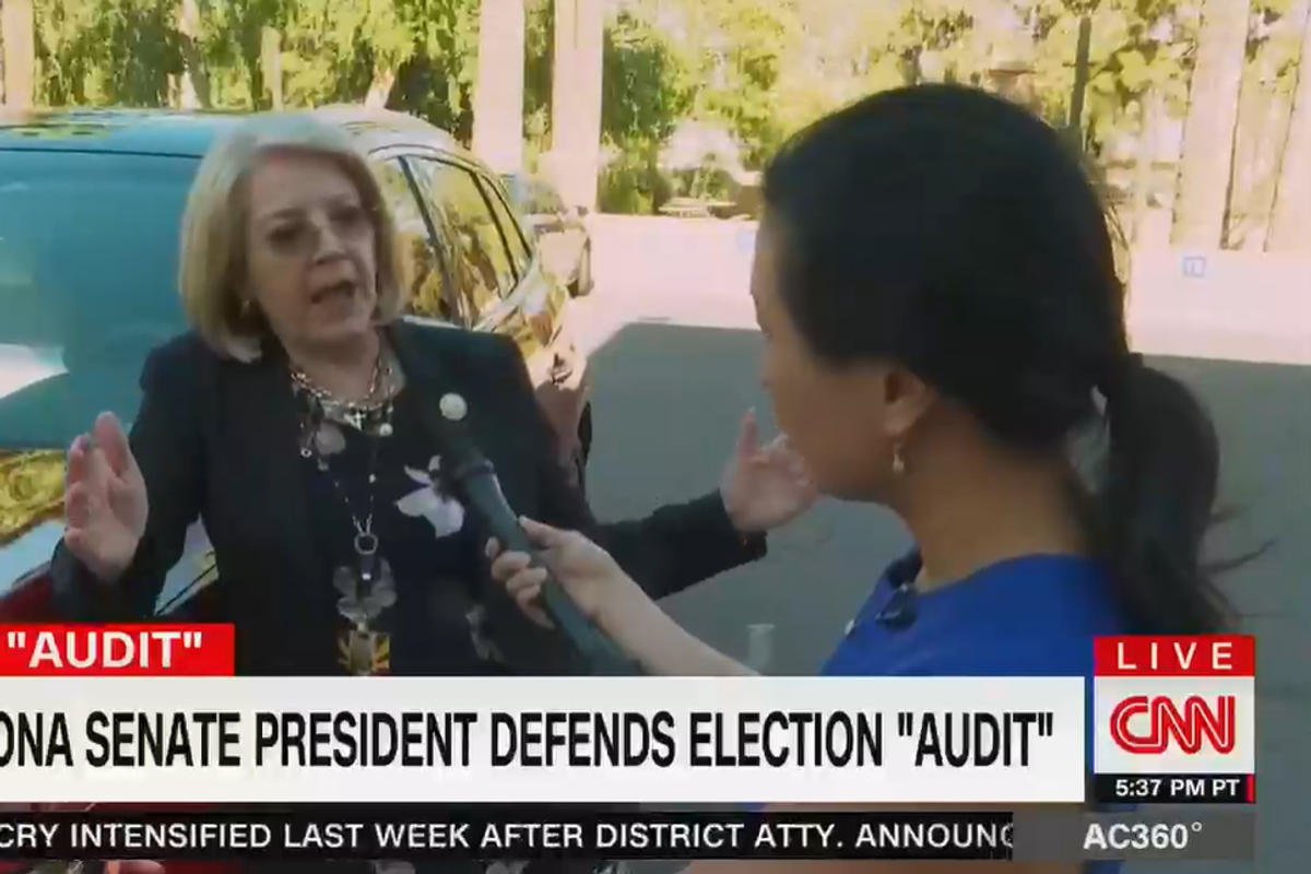 AZ GOP Senate Pres. Karen Fann: Idiot, Liar, Or All Of Them, Katie?