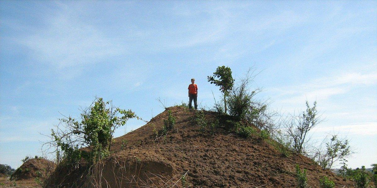 People Explain Which Seemingly Meaningless Hill They're Willing To Die On