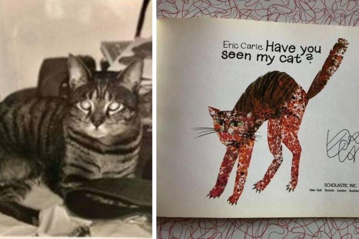 People can't get enough of this sweet story of Eric Carle responding to a lost cat sign