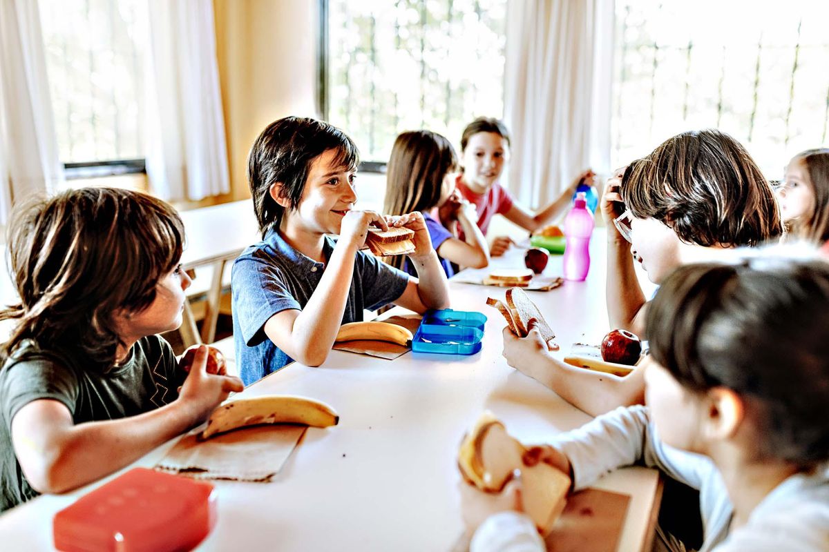 Nei piatti delle mense scolastiche spuntano tracce di sostanze nocive