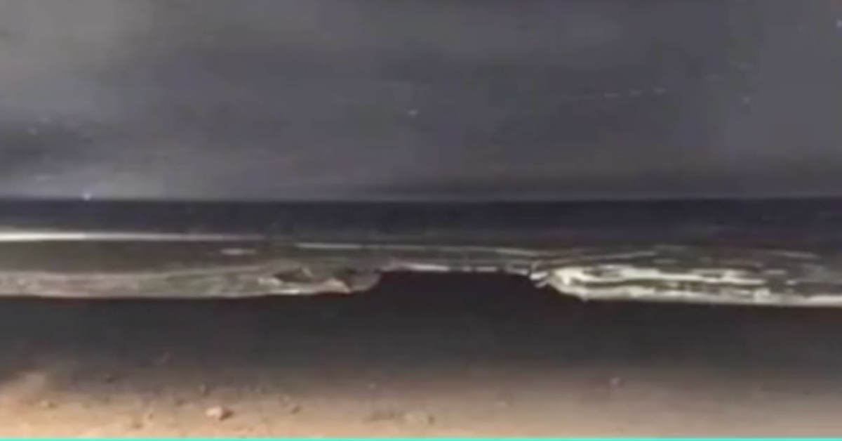 Viral Optical Illusion Has People Convinced They're Looking At A Beach—But It's Actually A Car