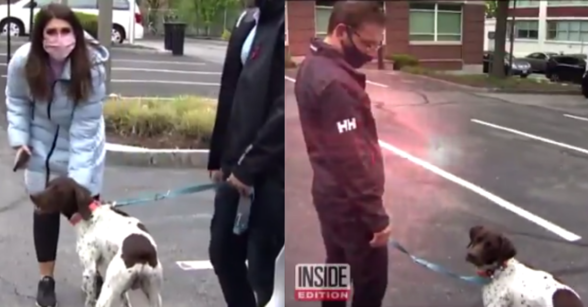 Reporter Covering Stolen Puppy Story Actually Spots It And Confronts The Dognapper In Wild Video