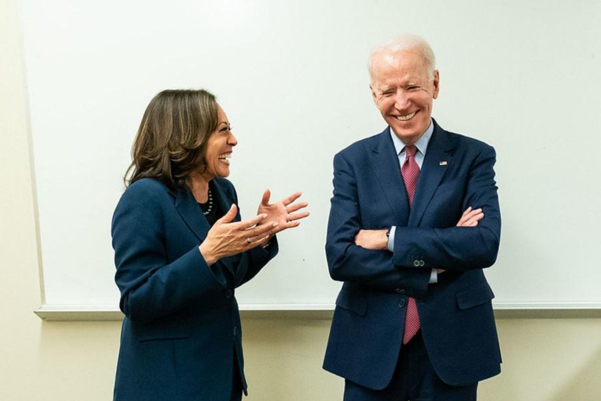 Shiny Normal Thing: Biden, Harris Release 2020 Taxes Like Weirdo Socialists!