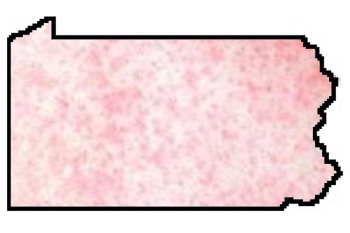Pediatricians Not Loving GOP Plan To Make Pennsylvania Measles Sanctuary State